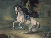 Johann Georg von Hamilton The women stallion Leal in the Levade oil on canvas